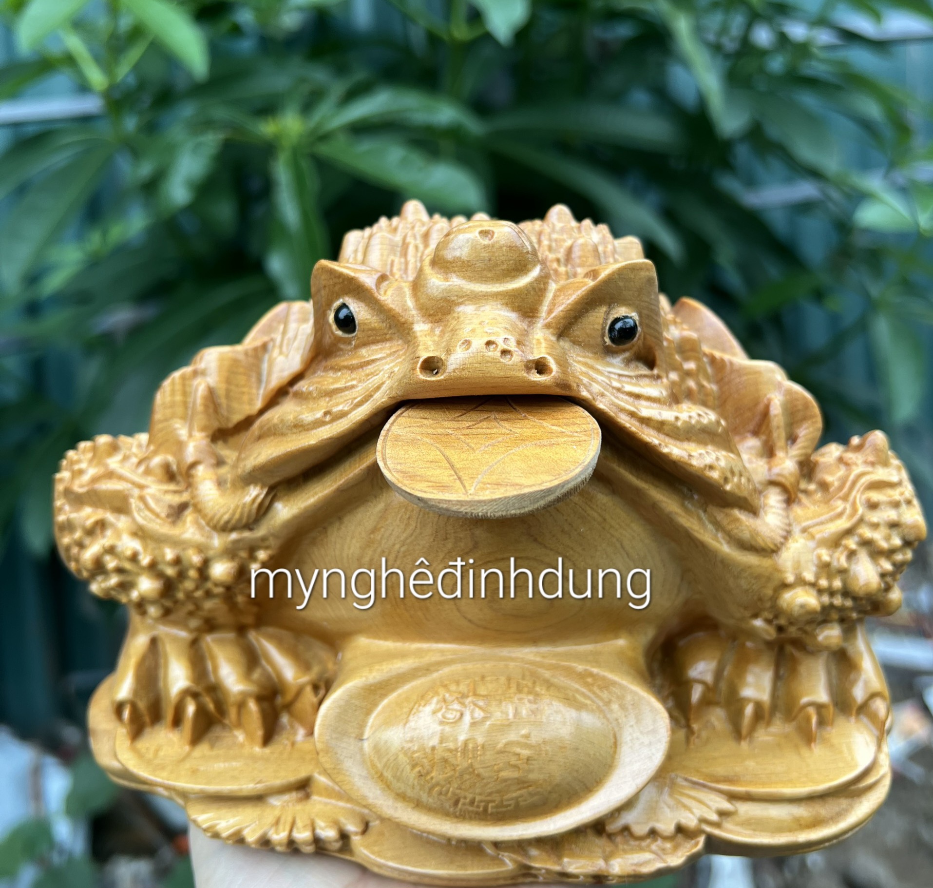 Tượng Cóc thiềm thừ phong thủy cầu tài lộc bằng gỗ bách xanh thơm nức kt 30x22x22cm