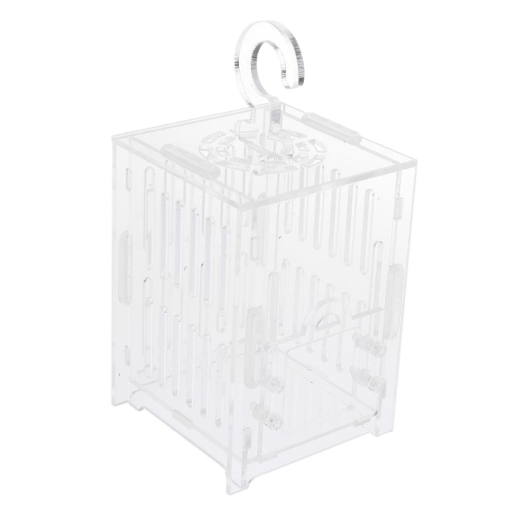 Durable Acrylic Small Insect Cage Grasshopper Feeding Cricket Cage Indoor Toy