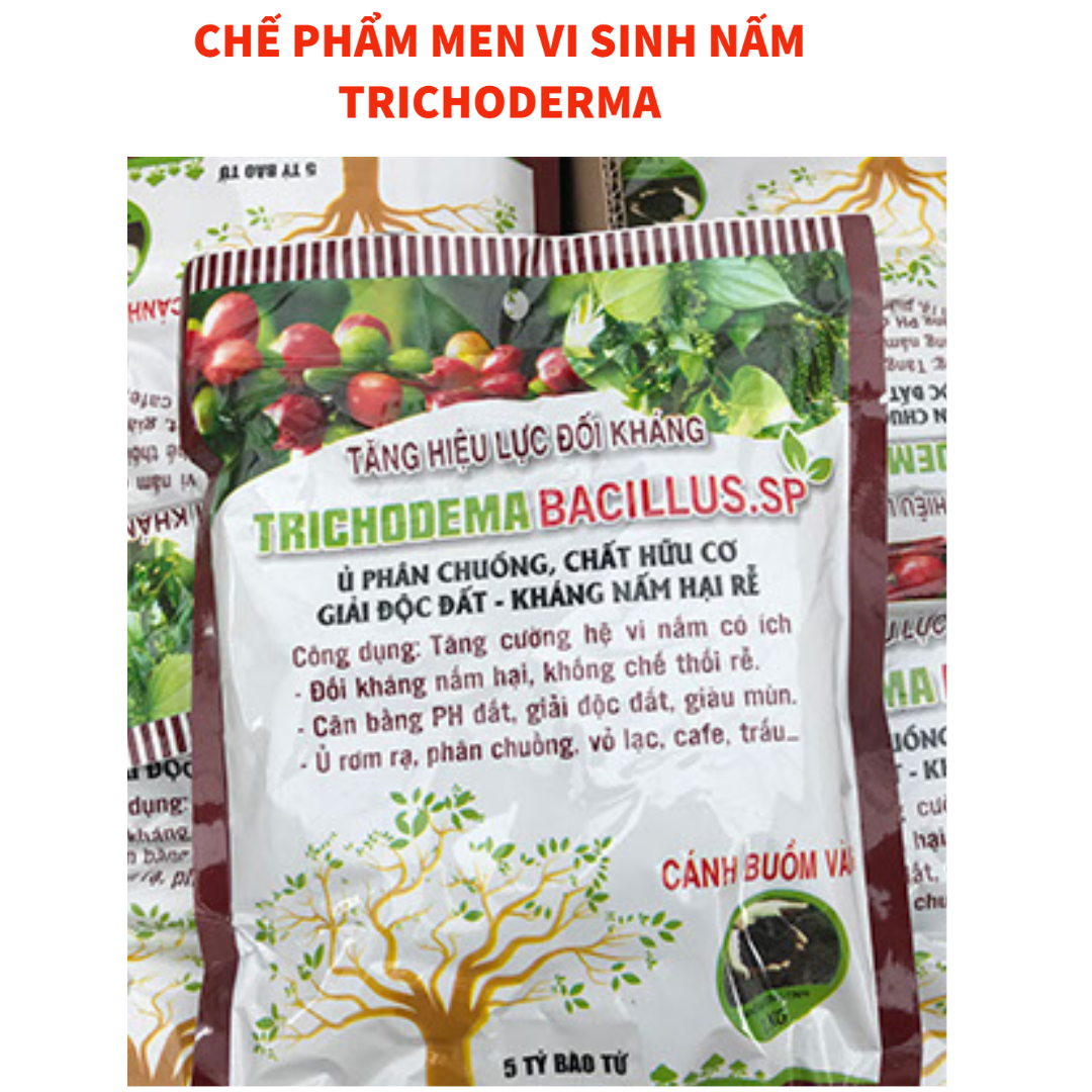 Trichoderma 1kg - chế phẩm hữu cơ diệt nấm đối kháng, tăng hiệu lực đối kháng cho cây trồng