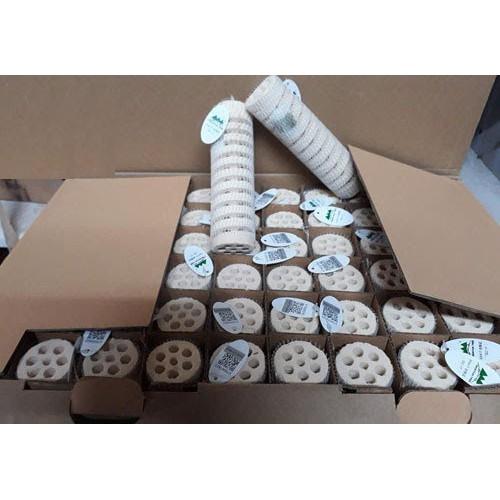 Sứ xoắn Mountain tree thế hệ II Vật liệu lọc cao cấp hồ cá thủy sinh