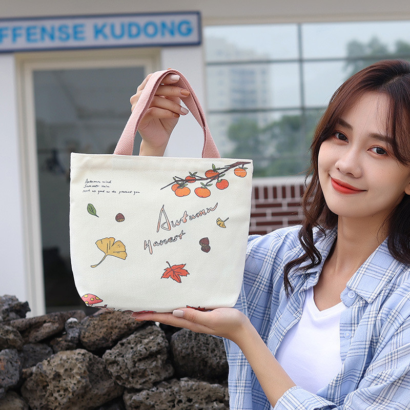 Túi tote túi vải canvas phong cách Hàn quốc có khóa miệng tiện lợi thời trang NEW-0096 siêu đẹp