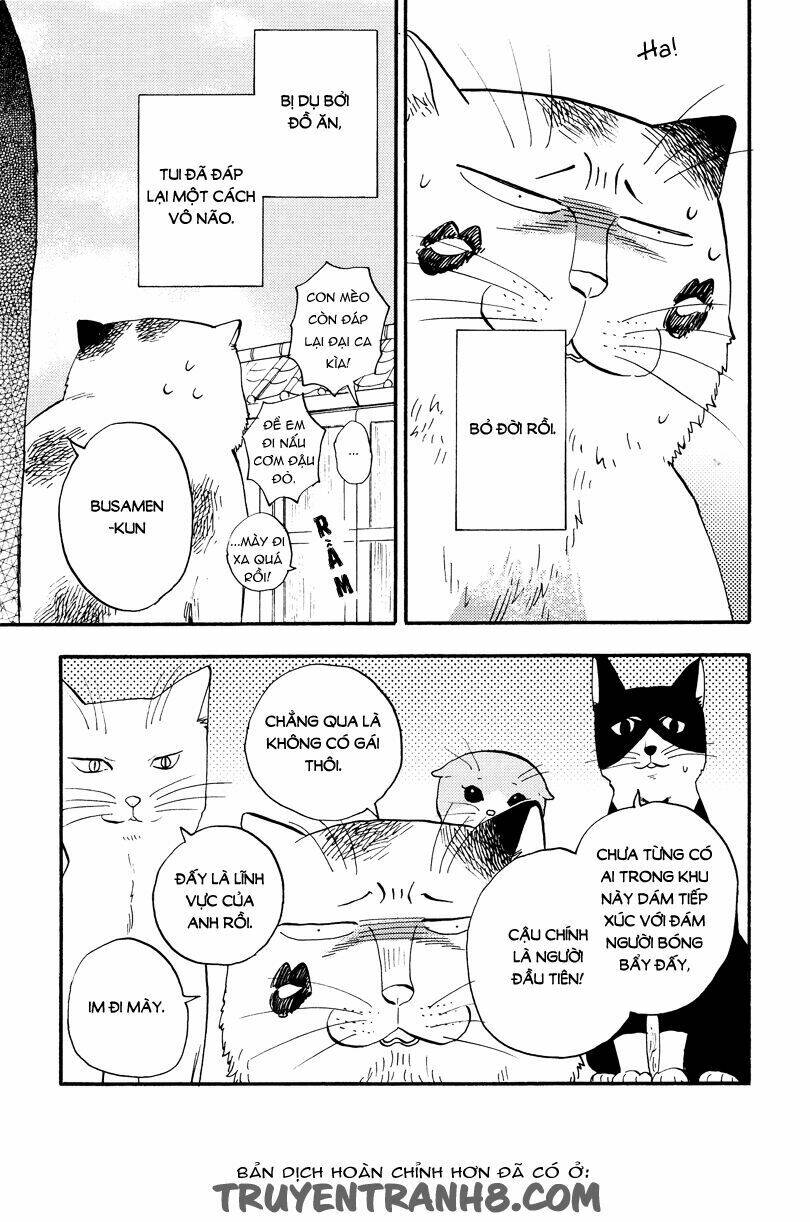 tui là busamen! chapter 4 16