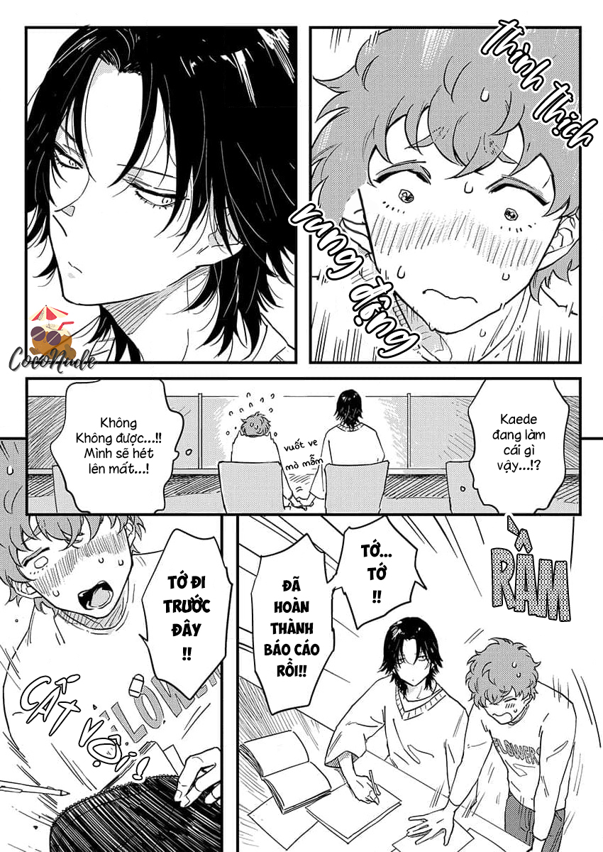 cậu bạn quyến rũ của tôi chapter 10 5