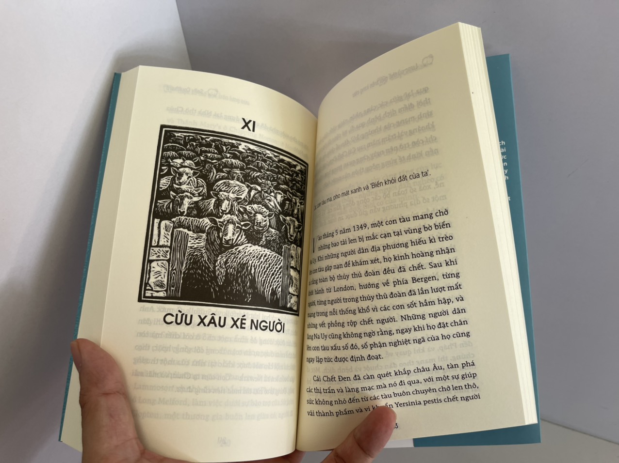 LƯỢC SỬ THẾ GIỚI TRÊN LƯNG CỪU – Sally Coulthard - Nguyễn Thế Hiền dịch - Bách Việt