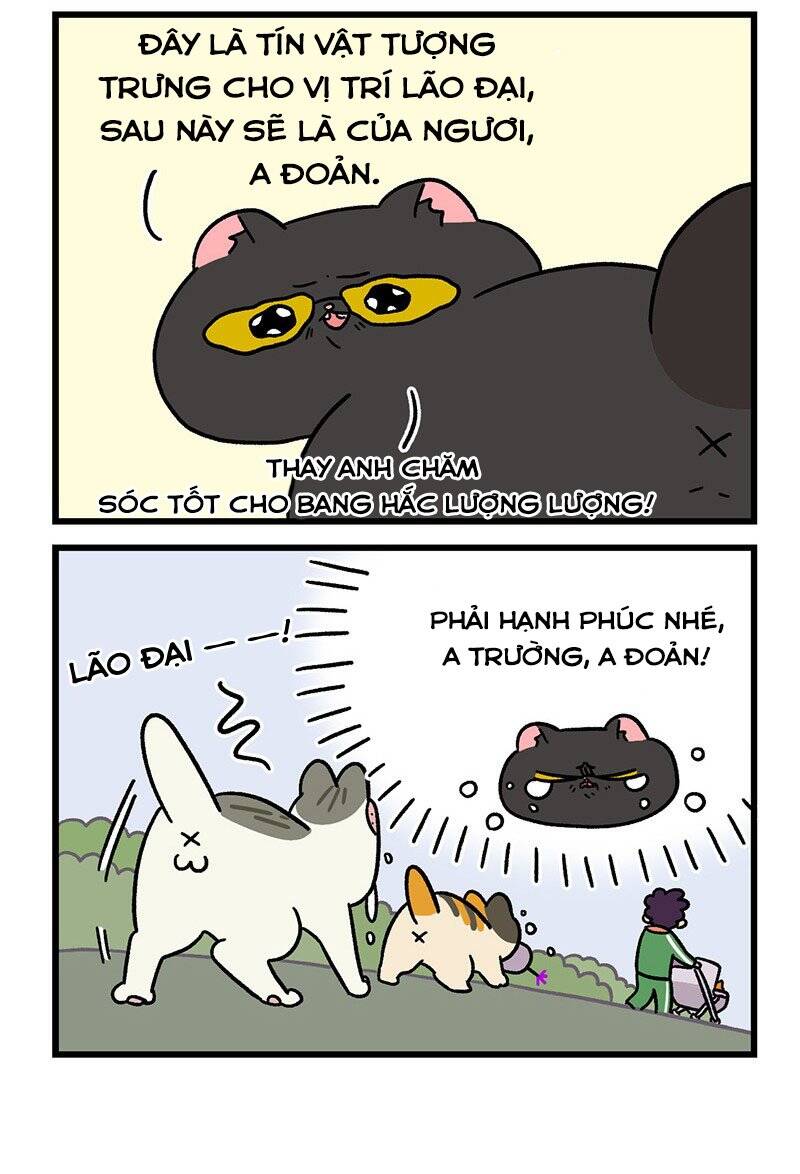 a mãn và mạch trà chapter 45.1 6