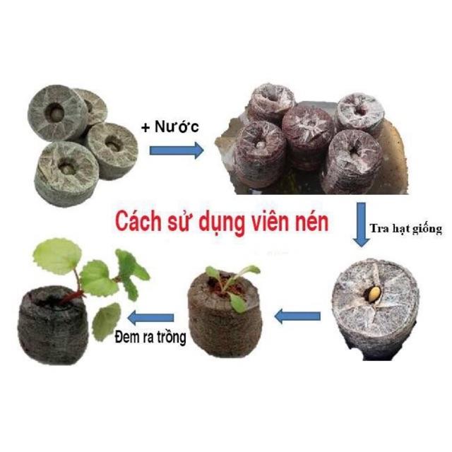 200 viên nén ươm hạt sơ dừa hàng đẹp