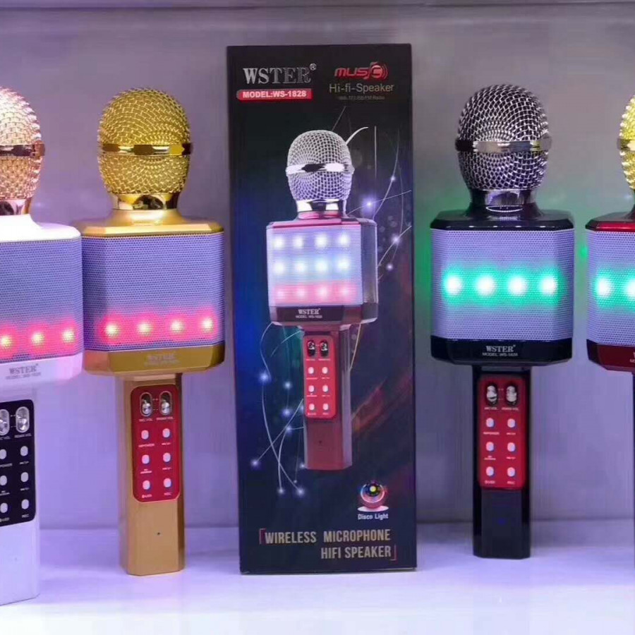 Micro Karaoke Wster-1828 Kèm Loa Hát + Đèn Led - Hàng chính hãng