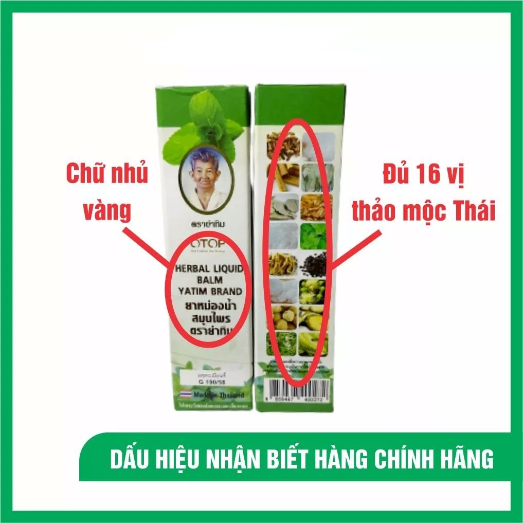 Dầu lăn Yatim 16 vị