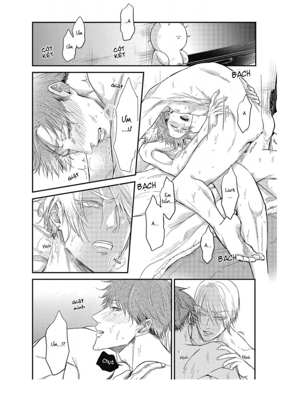 [18+] vết cắn tình yêu khô khan và giả dối chapter 6 12