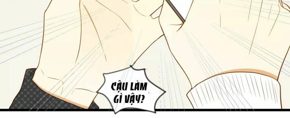 điều giáo quan hệ chapter 15 7