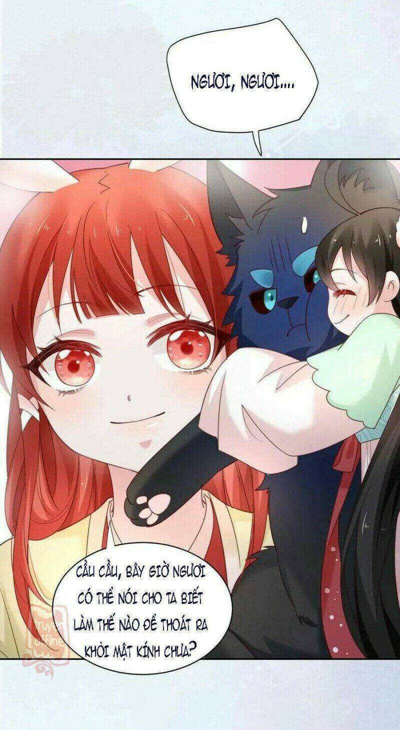 hắc hóa nam chính trực tuyến nuôi thỏ chapter 53 35