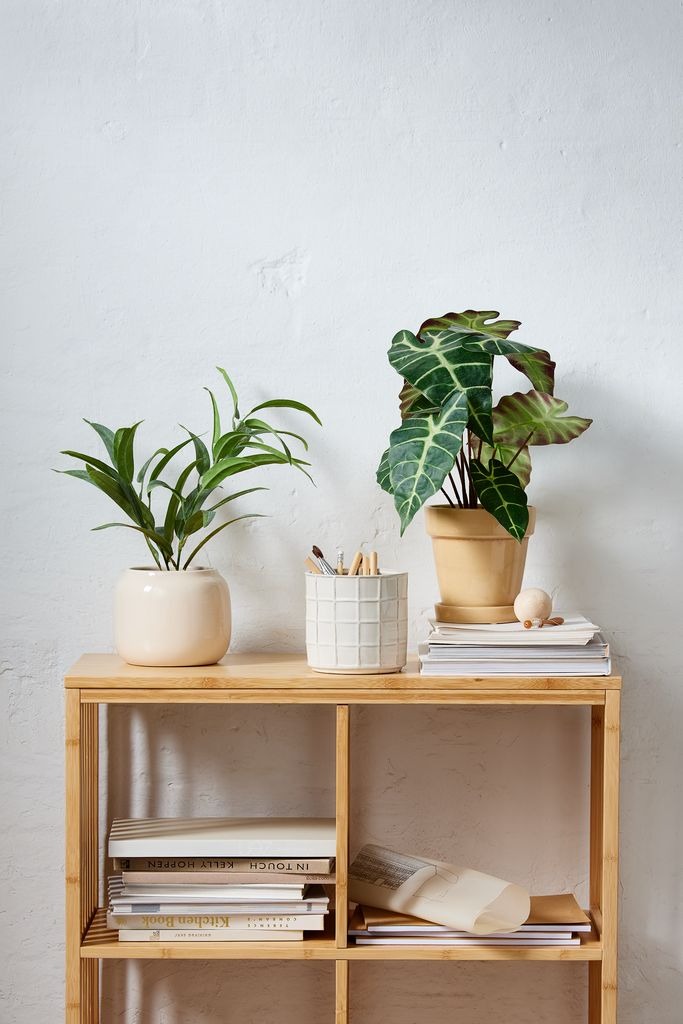 Chậu cây | JYSK Marcus | polyester/sứ | be | DK16xC13cm