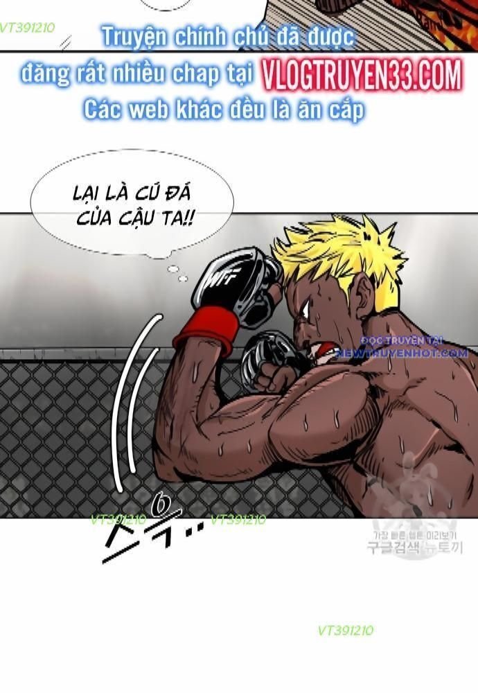 shark - cá mập chapter 261 100