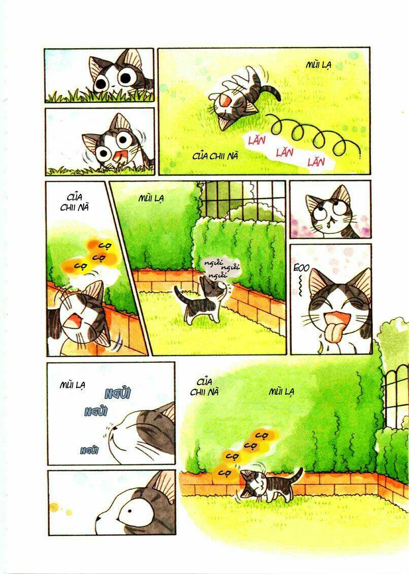 chi's sweet home chapter 69 5