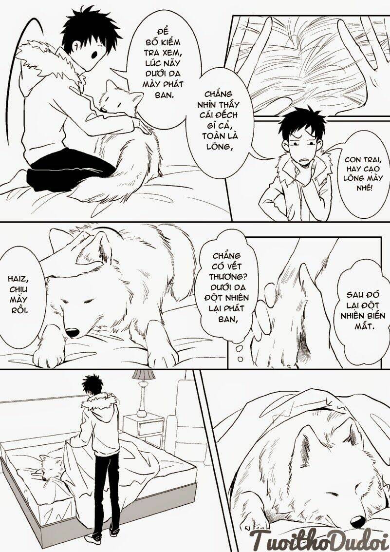 sự mê hoặc của sói chapter 20 6