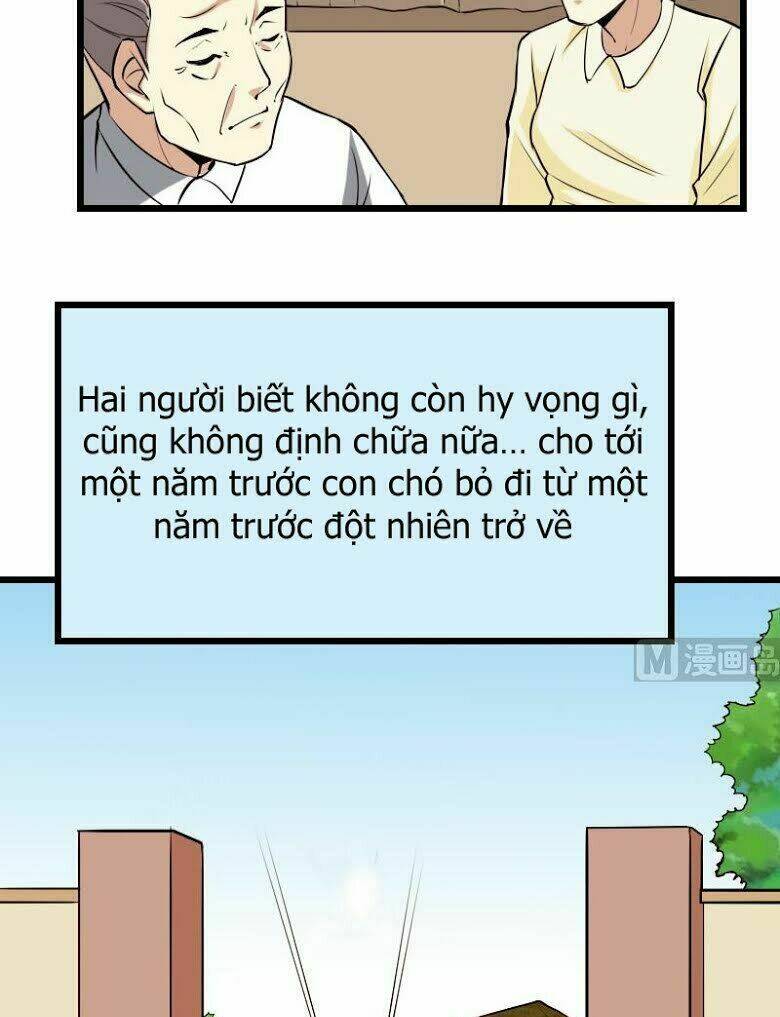 ngưu thư cung ứng thương chapter 44 4