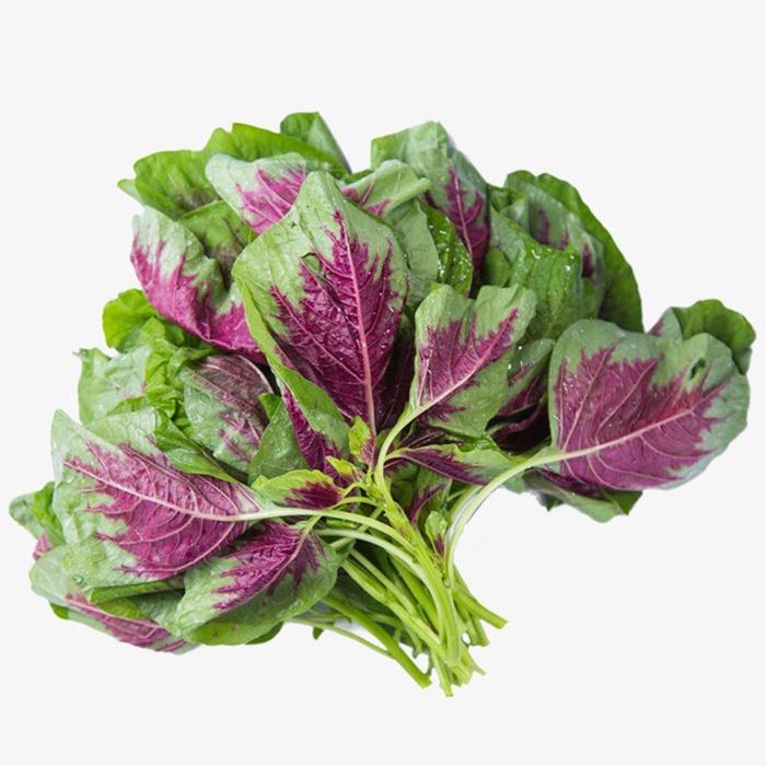 Hạt giống rau Dền Khoang - Dền Tía - gói 20gr