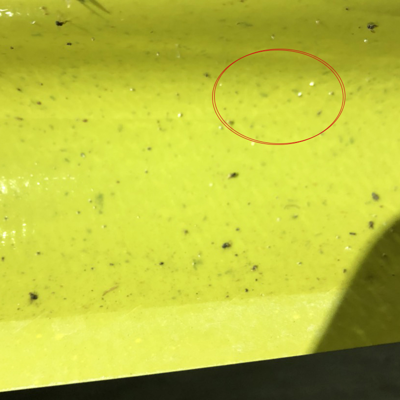 Miếng Dính Vàng Bẫy Côn Trùng Israel - Sticky Yellow Roll dùng bẫy các loại Côn Trùng Bay ngây hại rau sạch như Ruồi, Bọ Phấn, Bọ Trĩ, Bướm và côn trùng khác...