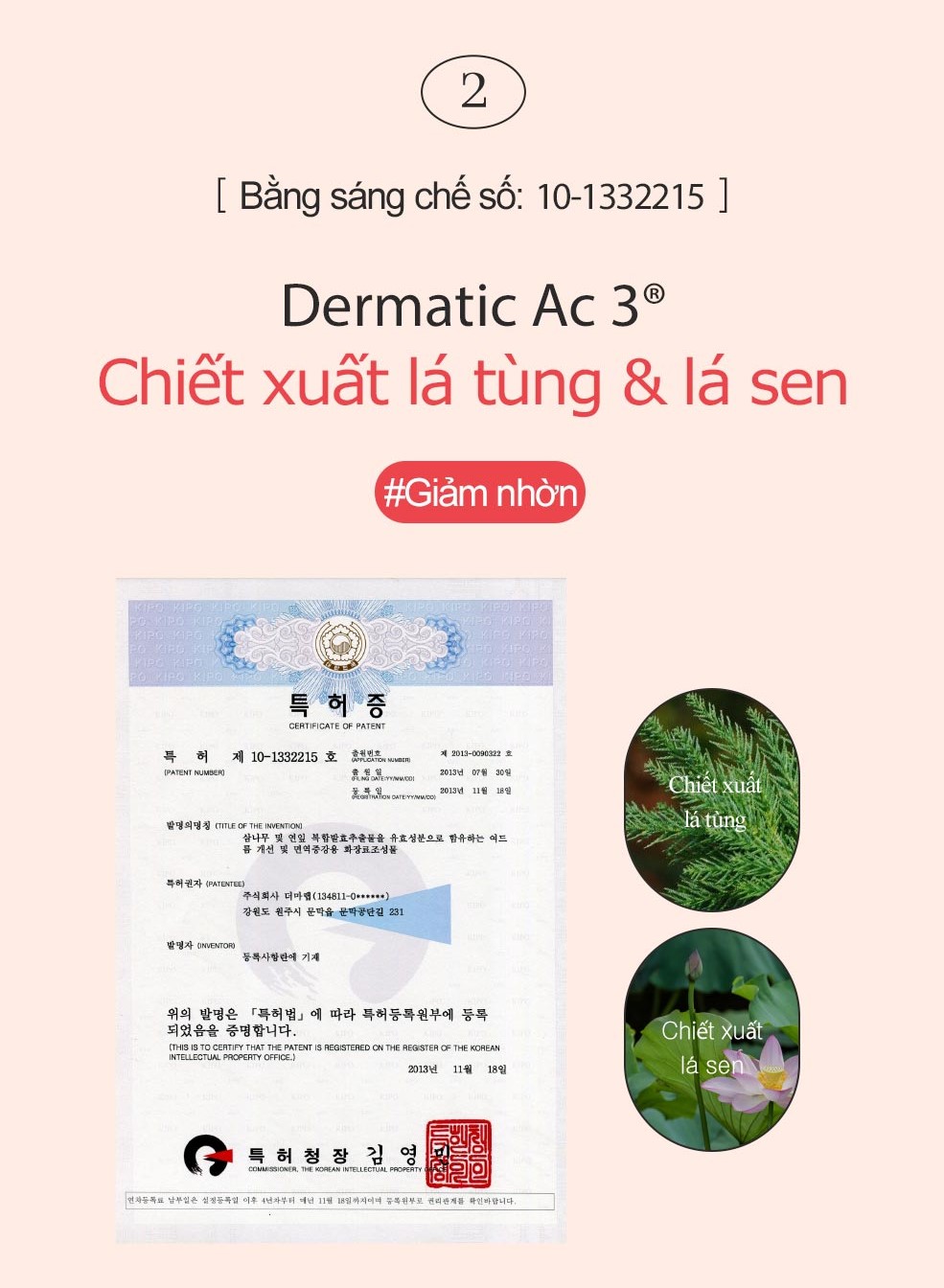 Nước Hoa Hồng Dành Cho Da Mụn Kiểm Soát Dầu SNP ACYS PLUS CONTROL TONER 150ML