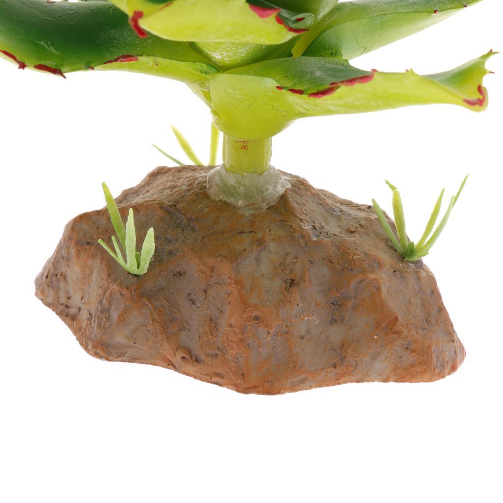 2 Piece Succulent Plant with Resin Base Reptile Terrarium Vivarium Ornament