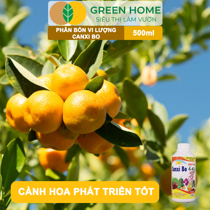 Phân Bón Vi Lượng Canxi Bo GreenHome, Chai 500ml, Chống Rụng Hoa, Tăng Đậu Trái, Giúp Trái Lớn Nhanh