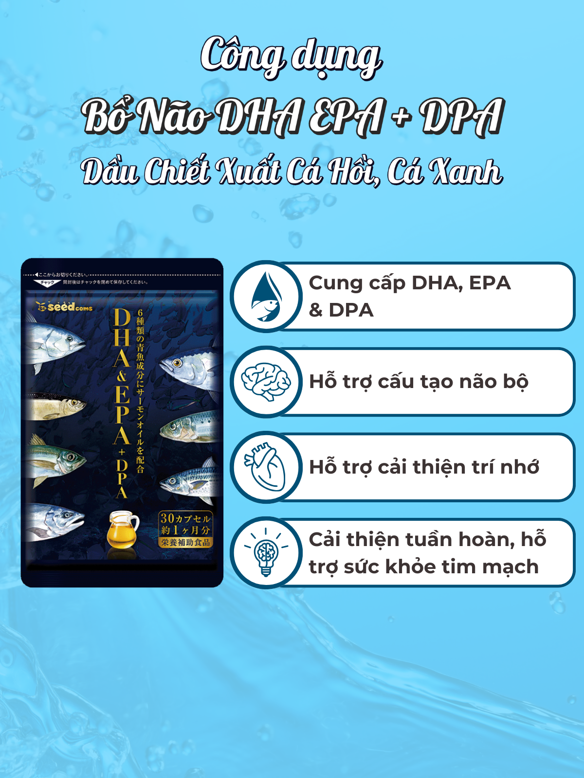 Viên Uống Bổ Não DHA EPA + DPA Dầu Chiết Xuất Cá Hồi, Cá Xanh Nhật Bản Seedcoms