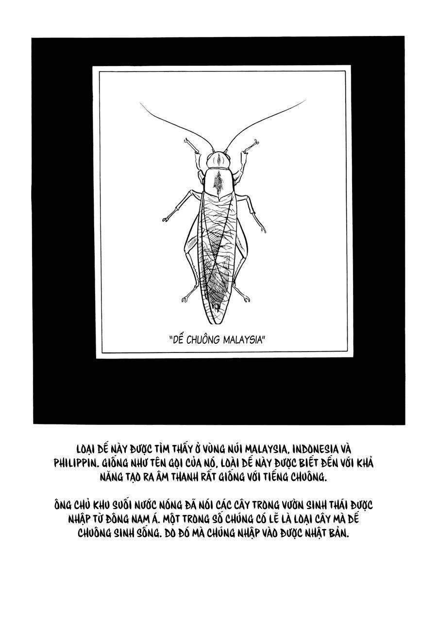 the crater chapter 3 30