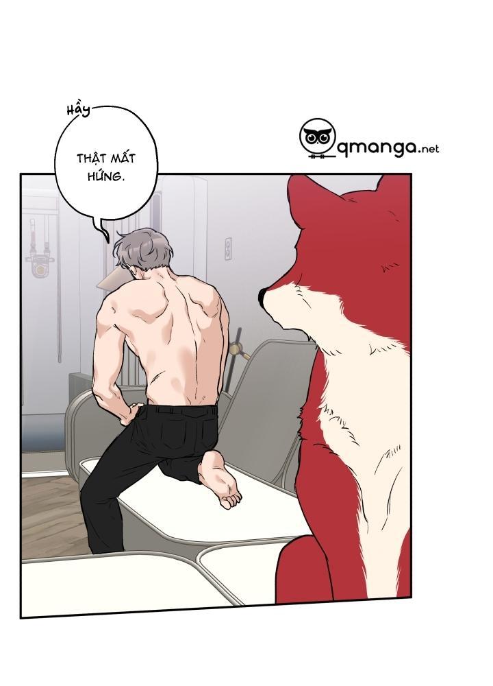 gâu gâu! chapter 21 9