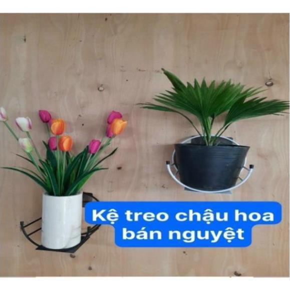 GIỎ HOA TREO, GIÁ TREO CHẬU HOA HÌNH BÁN NGUYỆT 1S