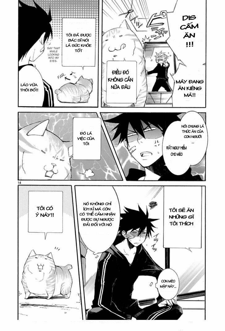 nyankoi! chapter 8 15