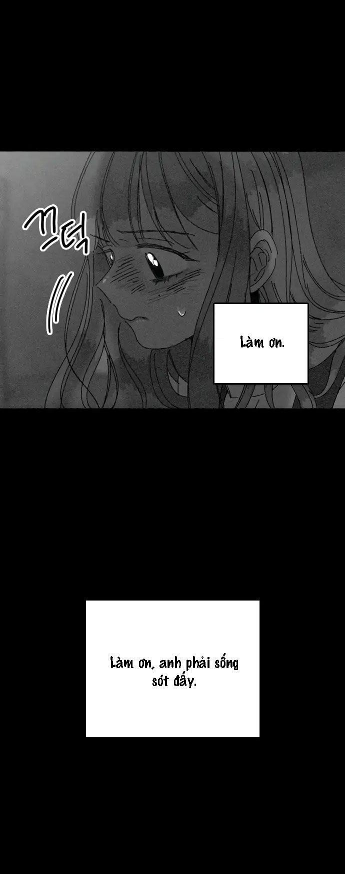 thanh âm tựa hoa hồng chapter 24.1 12