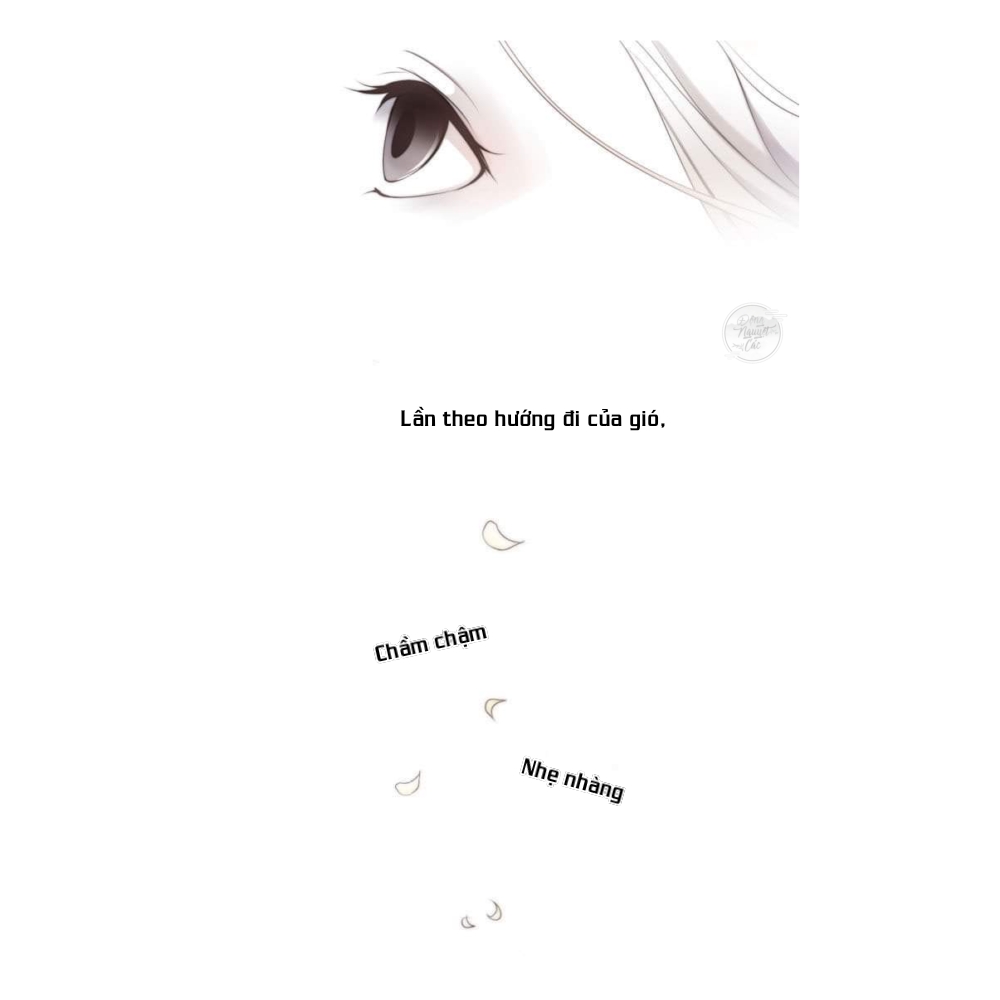 the twelfth night chapter 1 5