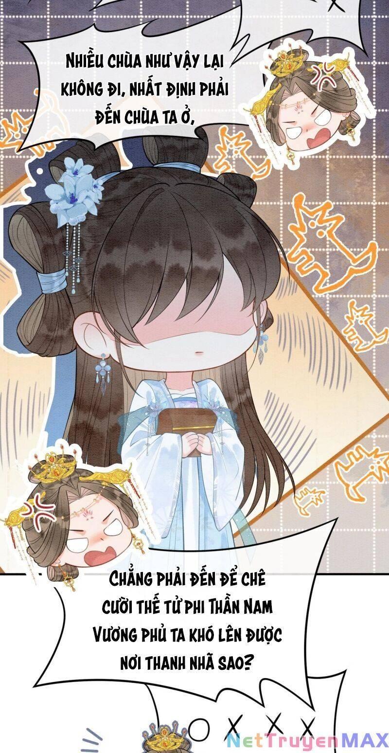 sau khi nàng bị đánh chết, các anh trai đều hối hận! chapter 7 16