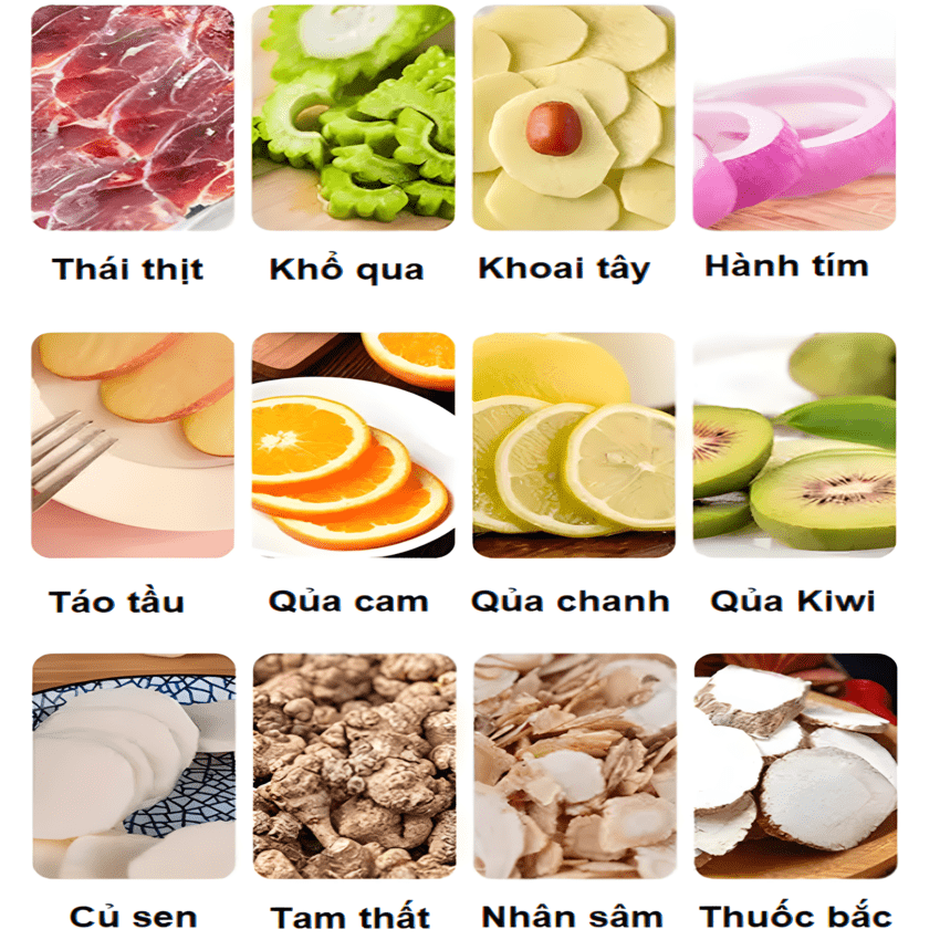 Máy thái lát rau củ quả và thịt đông lạnh tự động thương hiệu Anh Quốc AOSIDA QP-D003 - Hàng Nhập Khẩu