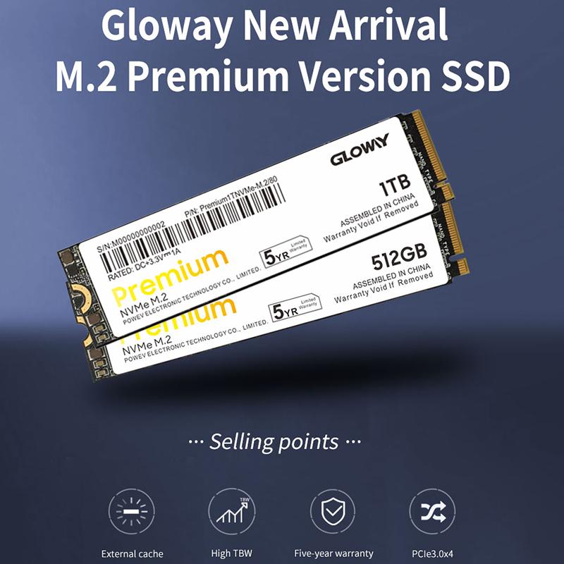 Gloway Premium Series SSD cho Laptop Cache M2 512GB 1TB Basic Disque Dur M.2 PCI-e SSD Ổ Cứng Gắn Trong Cho Máy Tính Xách Tay