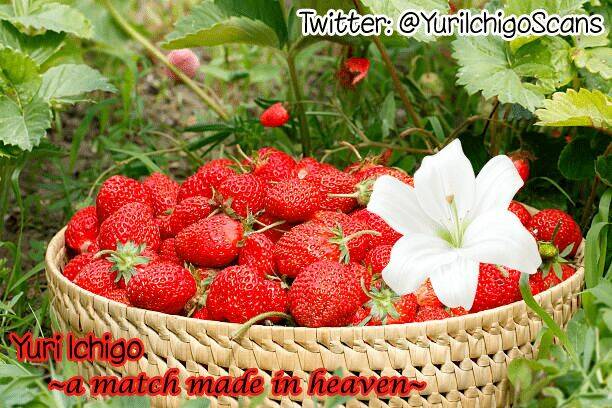 hino-san no baka chapter 12.5 10