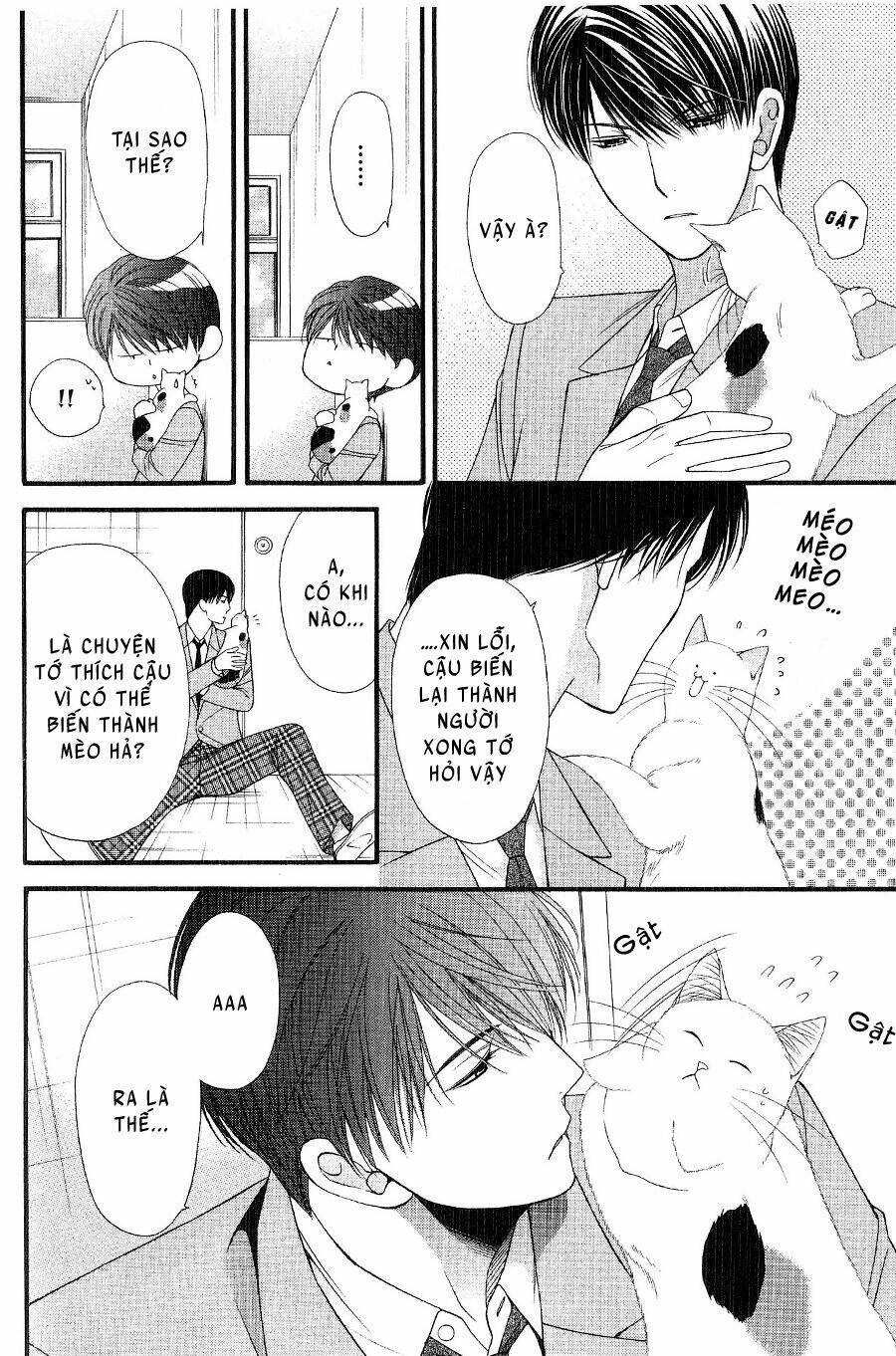 neko neko honey chapter 12 14