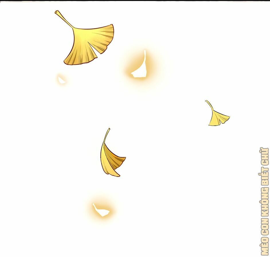 bốc toán tử chapter 2 16