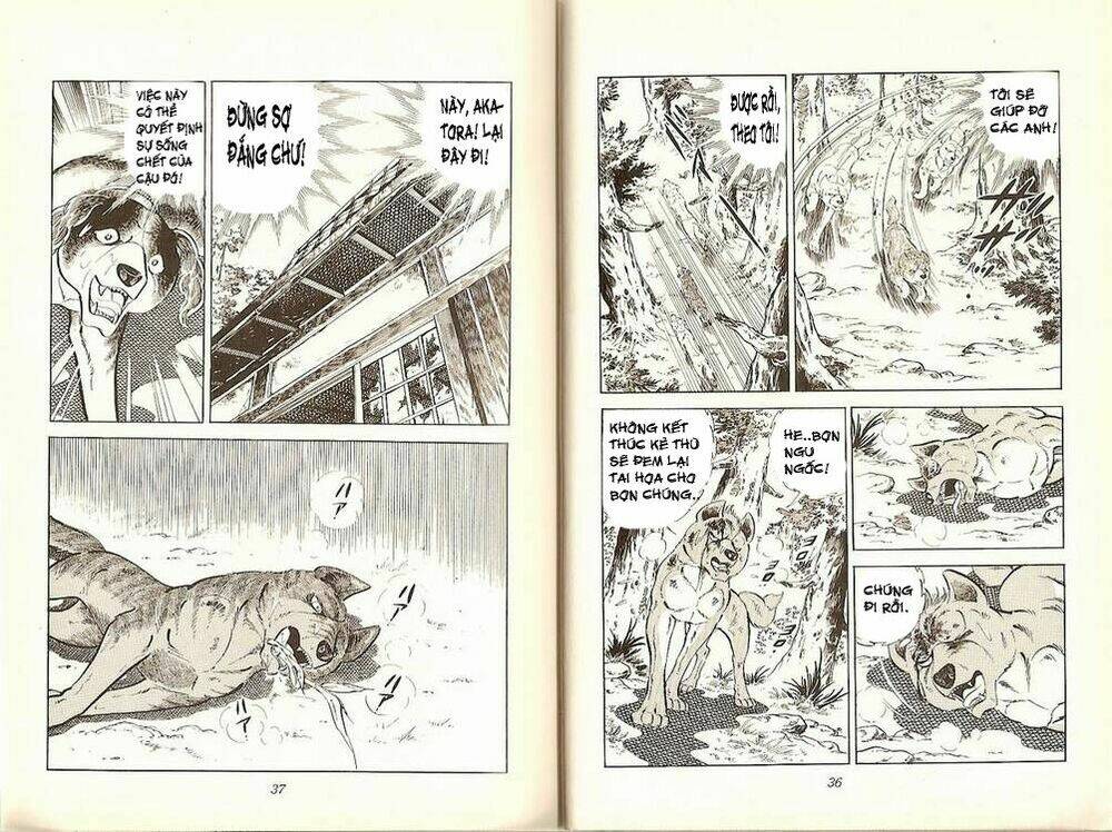 chú chó có nghĩa - ginga nagareboshi gin chapter 19 17