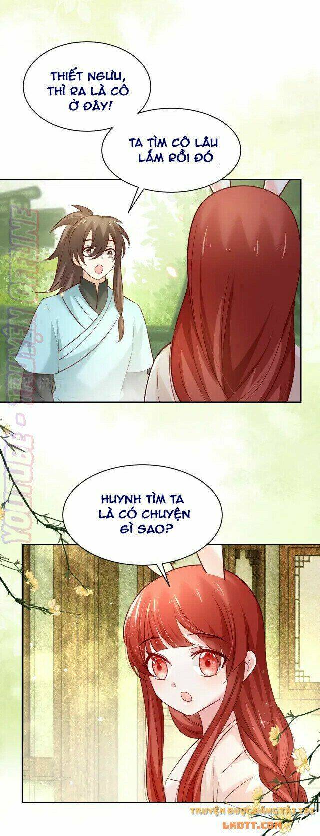 hắc hóa nam chính trực tuyến nuôi thỏ chapter 44 25