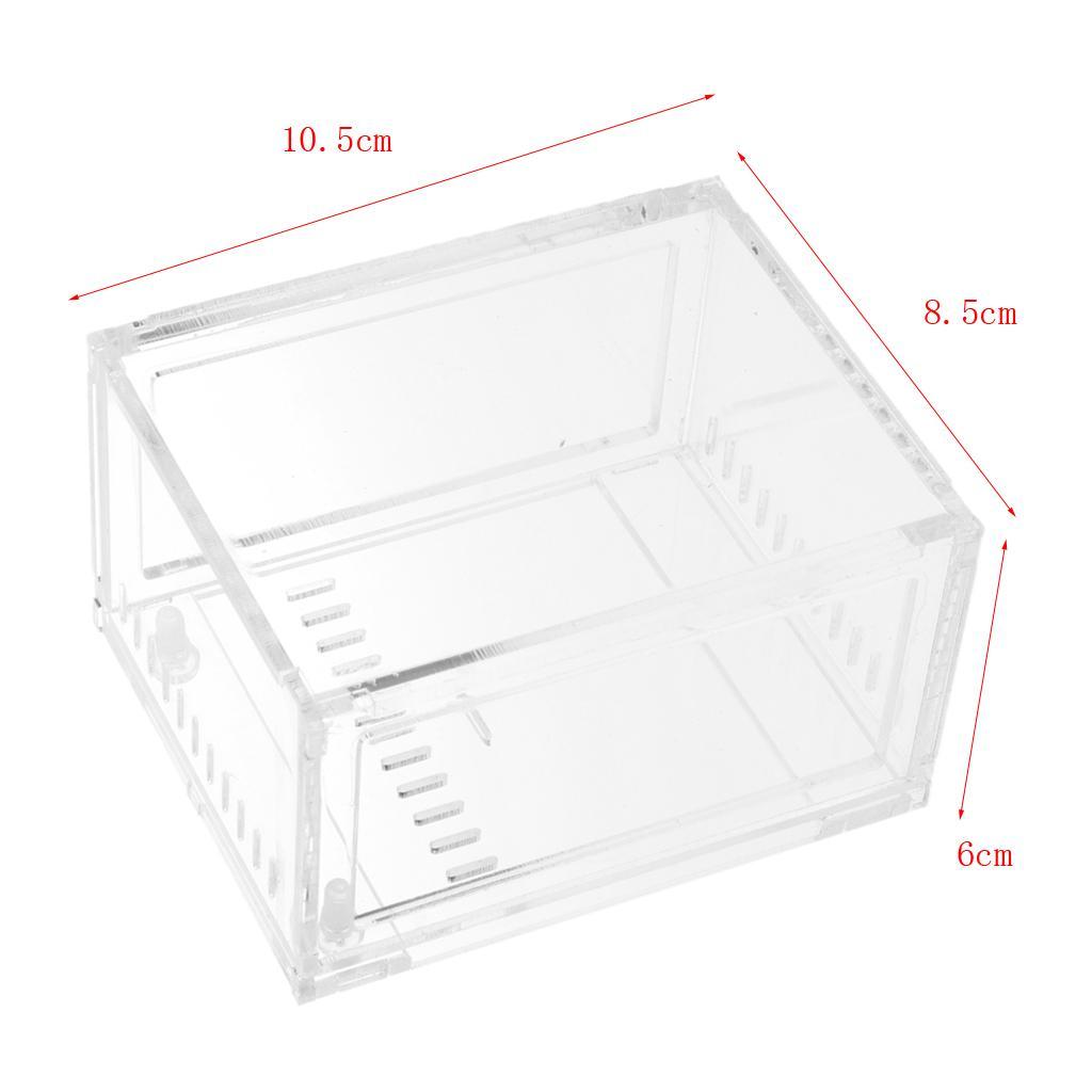 Reptile Terrarium Amphibian Habitat for Mini Pet Houses Acrylic Box Clear