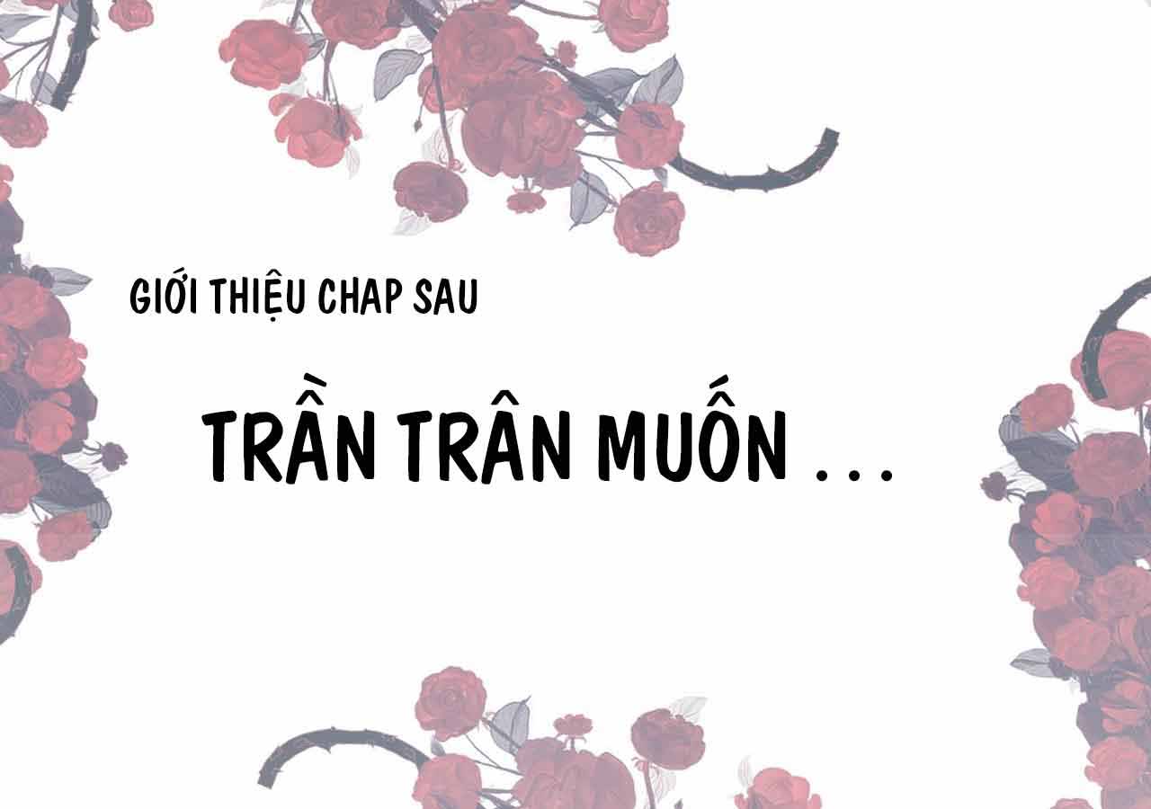 Chỉ Nam Sinh Tồn Của Huyết Tộc chapter 4