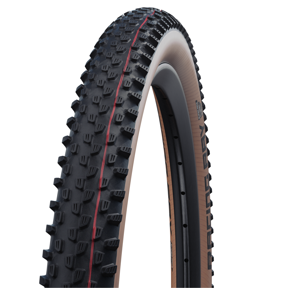 Vỏ xe đạp tubeless Schwalbe Racing Ray Evo TLE [29x2.25]