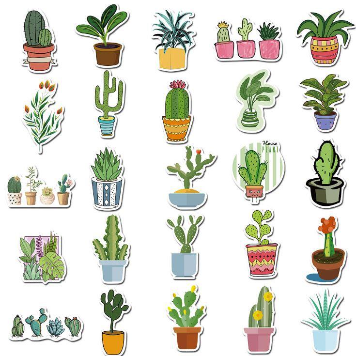 Sticker dán cao cấp CÂY KIỂNG Cực COOL ms#86