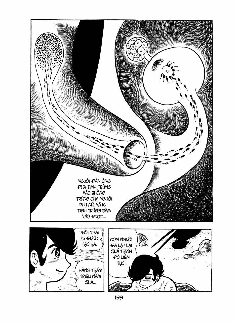 apollo’s song chapter 2.2 9