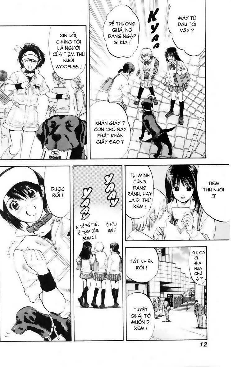 cô nàng yêu chó chapter 9 11