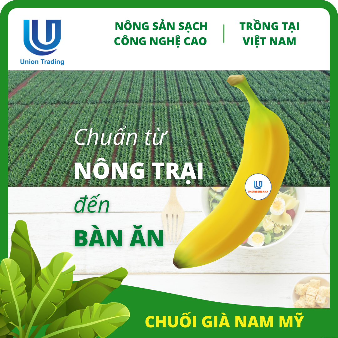 Chuối Tươi Union Trading - Hộp 1Kg - Thơm Dẻo, Giàu Dinh Dưỡng - Trồng Công Nghệ Cao Tại Việt Nam