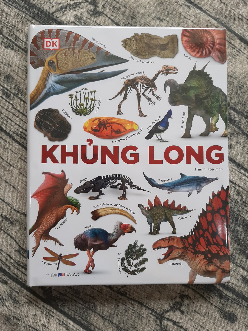 Khủng Long