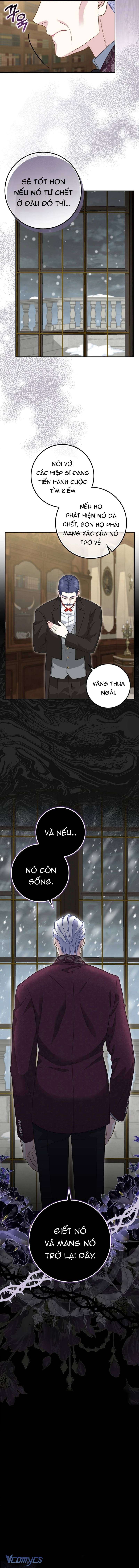 bé con báo tuyết của gia tộc báo đen chapter 8 14