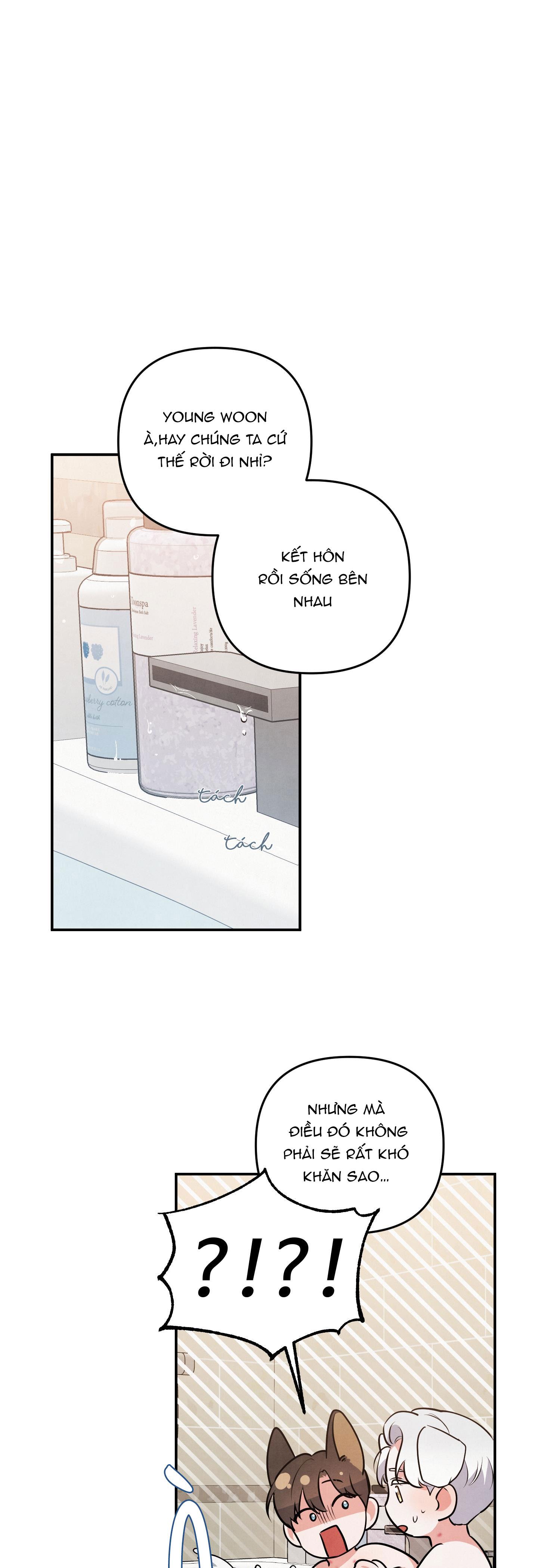 mối quan hệ ngu ngốc chapter 37 1